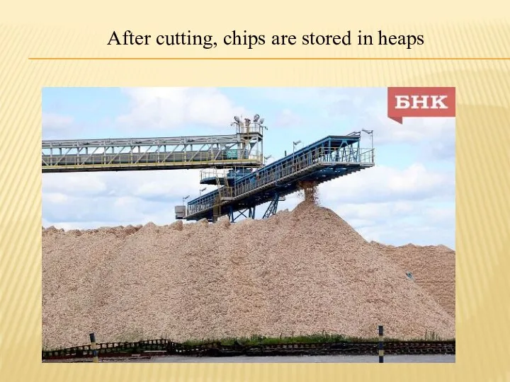 After cutting, chips are stored in heaps