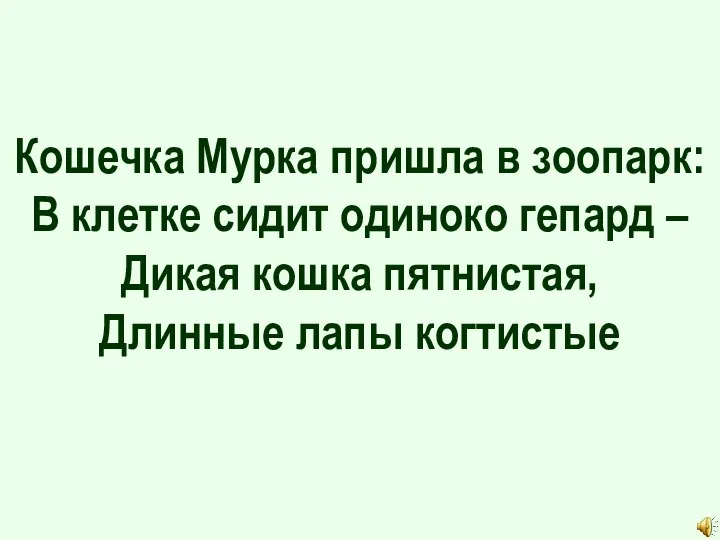 Кошечка Мурка пришла в зоопарк: В клетке сидит одиноко гепард – Дикая