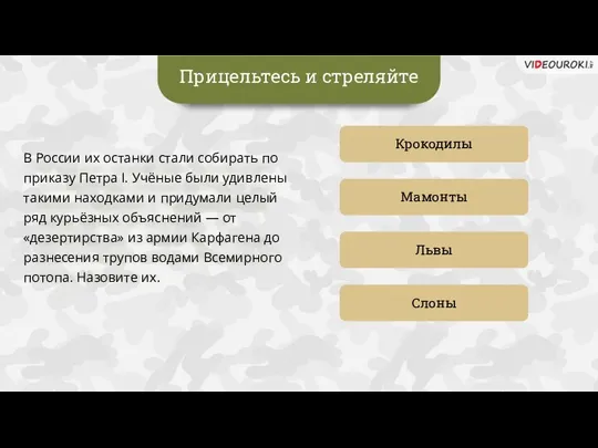 Прицельтесь и стреляйте Крокодилы Мамонты Слоны Львы В России их останки стали