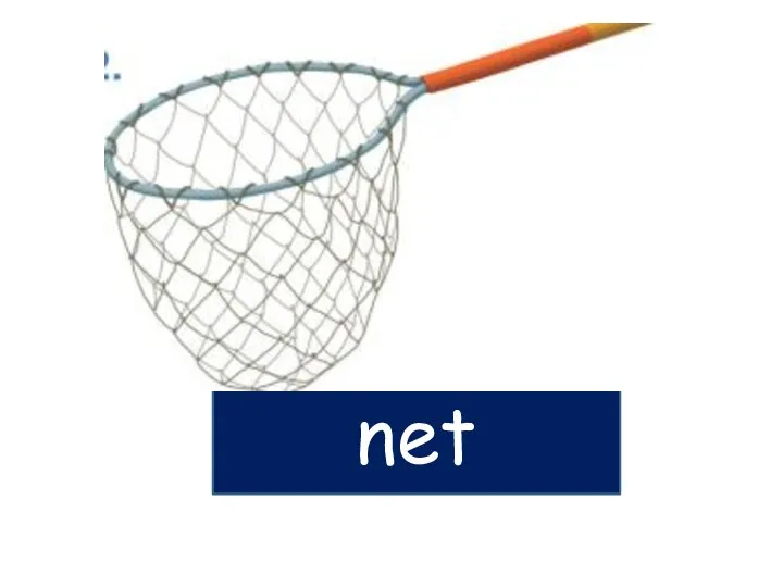 net