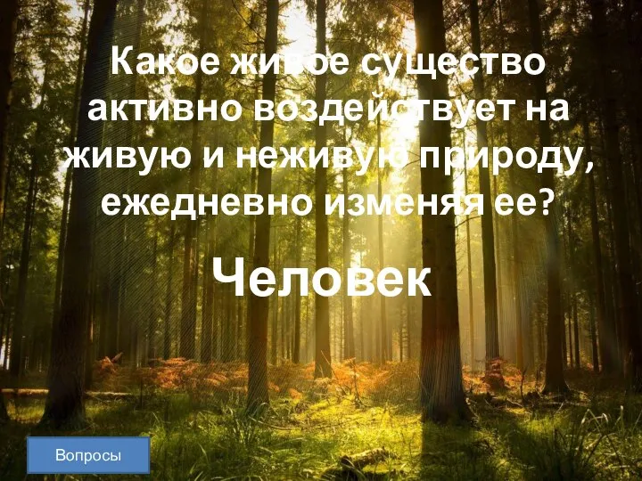 Вопросы Какое живое существо активно воздействует на живую и неживую природу, ежедневно изменяя ее? Человек