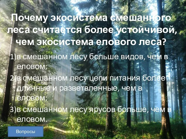 Вопросы Почему экосистема смешанного леса считается более устойчивой, чем экосистема елового леса?