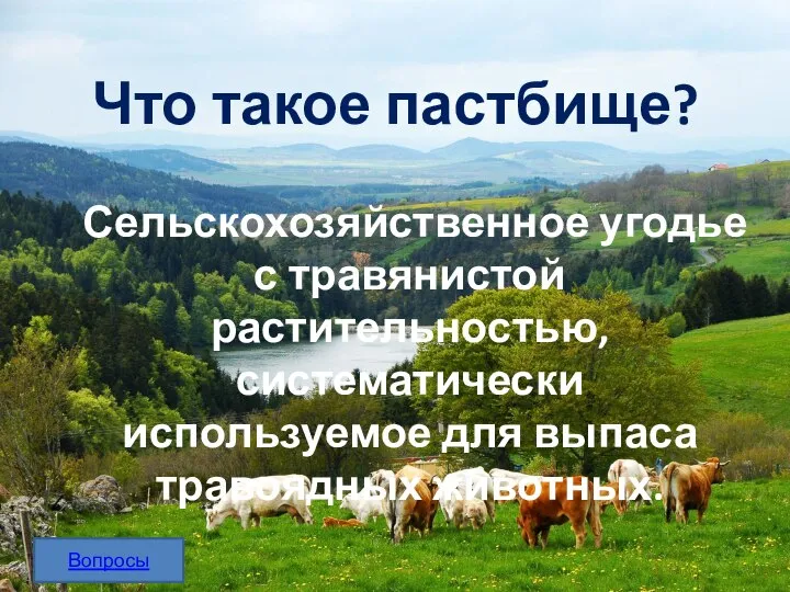 Что такое пастбище? Сельскохозяйственное угодье с травянистой растительностью, систематически используемое для выпаса травоядных животных. Вопросы