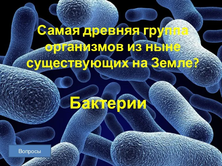 Вопросы Самая древняя группа организмов из ныне существующих на Земле? Бактерии Вопросы