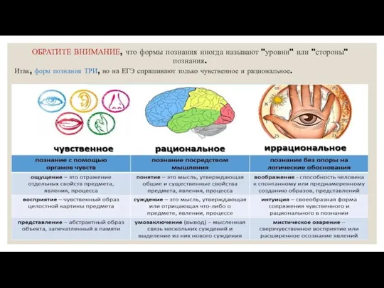 ОБРАТИТЕ ВНИМАНИЕ, что формы познания иногда называют "уровни" или "стороны" познания. Итак,