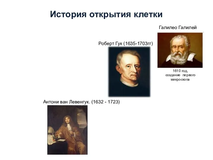 Антони ван Левенгук. (1632 - 1723) Роберт Гук (1635-1703гг) 1610 год, создание