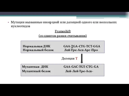 Мутации вызванные инсерцией или делецией одного или нескольких нуклеотидов Нормальная ДНК GAA-TGA-CTG-TCT-GGA