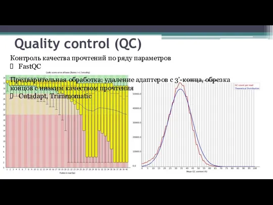 Quality control (QC) Предварительная обработка: удаление адаптеров с 3’-конца, обрезка концов с