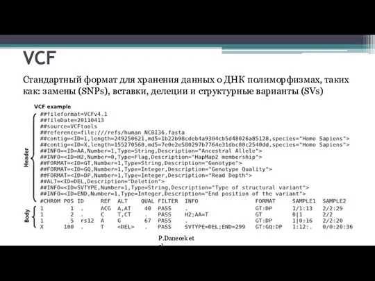 VCF Стандартный формат для хранения данных о ДНК полиморфизмах, таких как: замены