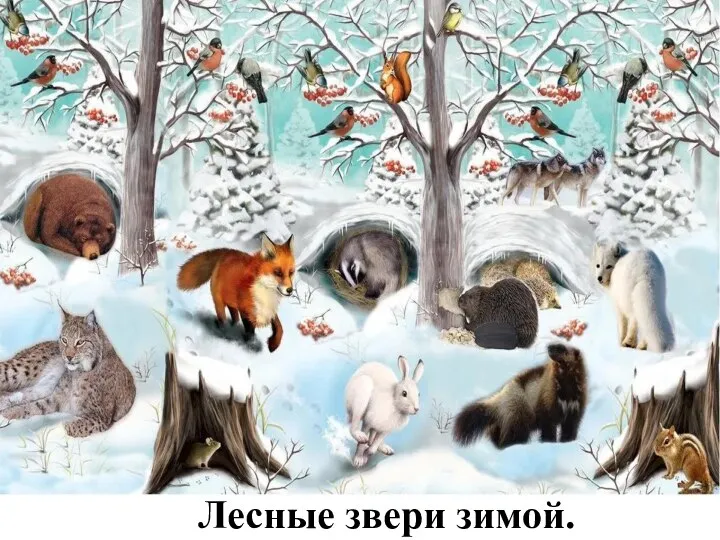 Лесные звери зимой.