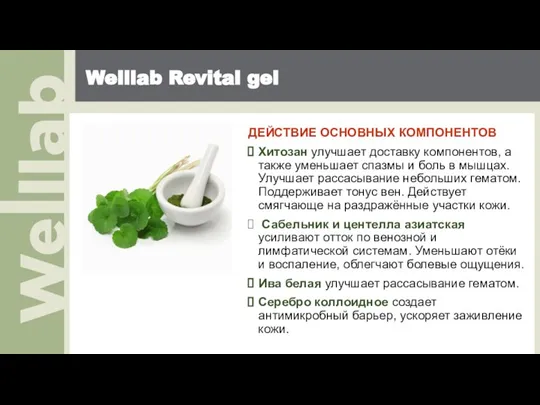 Welllab Revital gel ДЕЙСТВИЕ ОСНОВНЫХ КОМПОНЕНТОВ Хитозан улучшает доставку компонентов, а также