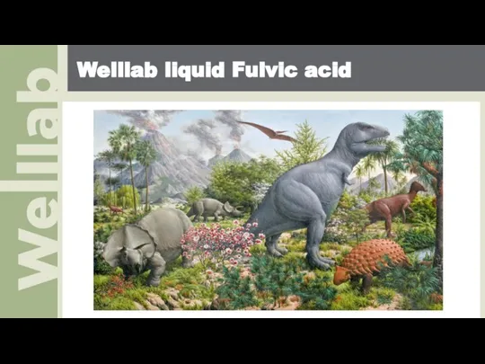 Welllab liquid Fulvic acid