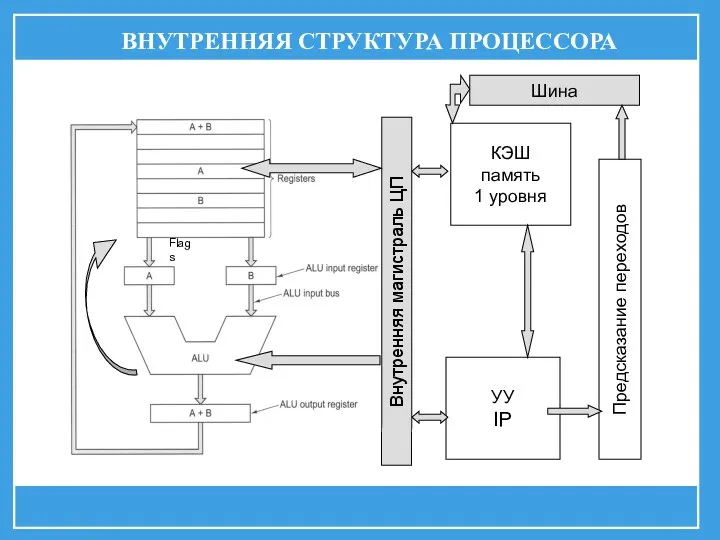 ВНУТРЕННЯЯ СТРУКТУРА ПРОЦЕССОРА Внутренняя магистраль ЦП Flags КЭШ память 1 уровня УУ IP Шина Предсказание переходов