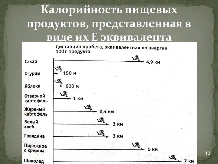 Калорийность пищевых продуктов, представленная в виде их Е эквивалента