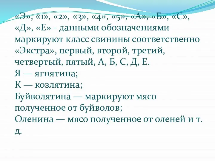 «Э», «1», «2», «3», «4», «5», «А», «Б», «С», «Д», «Е» -