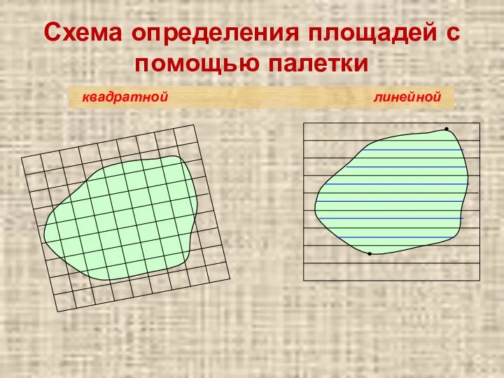Схема определения площадей с помощью палетки