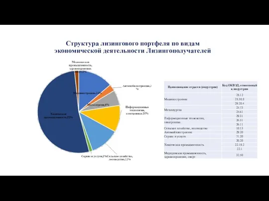 Структура лизингового портфеля по видам экономической деятельности Лизингополучателей