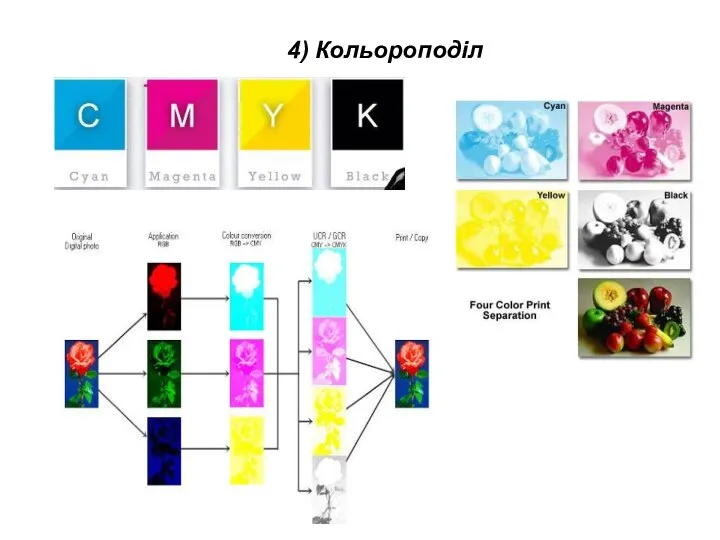 4) Кольороподіл