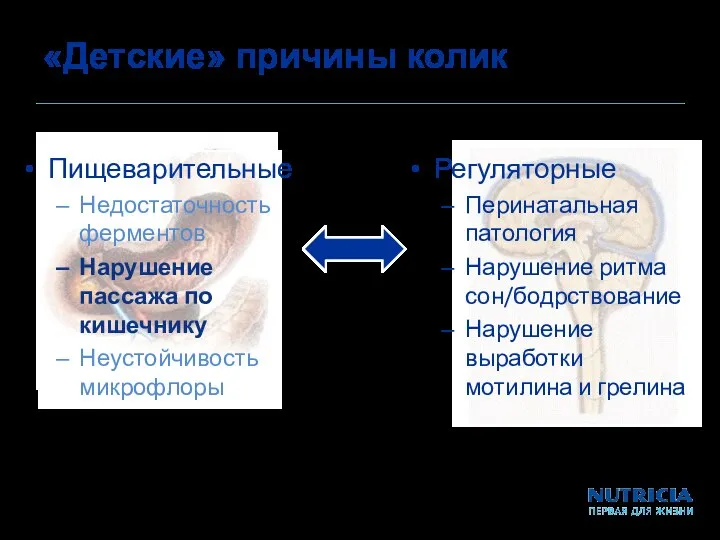 «Детские» причины колик Пищеварительные Недостаточность ферментов Нарушение пассажа по кишечнику Неустойчивость микрофлоры