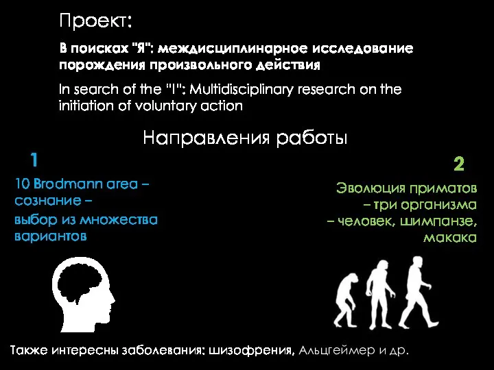 Направления работы 10 Brodmann area – сознание – выбор из множества вариантов