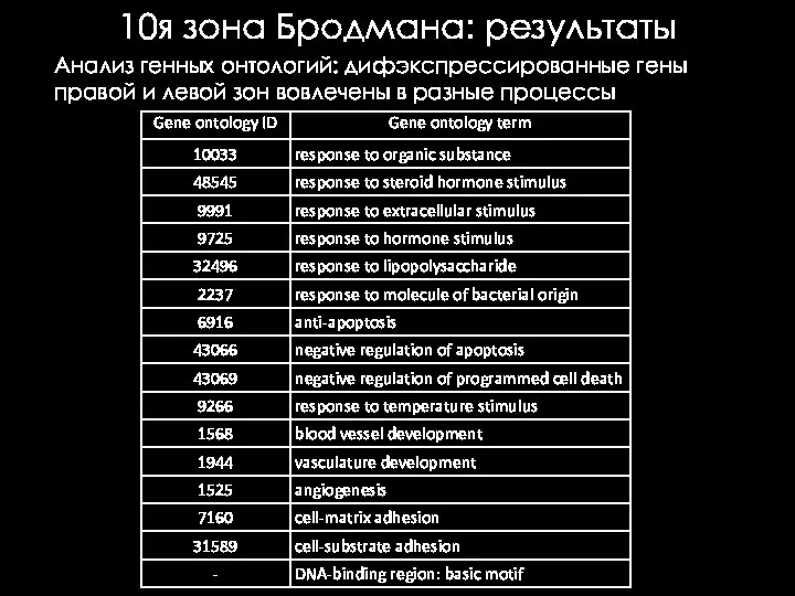 10я зона Бродмана: результаты Анализ генных онтологий: дифэкспрессированные гены правой и левой