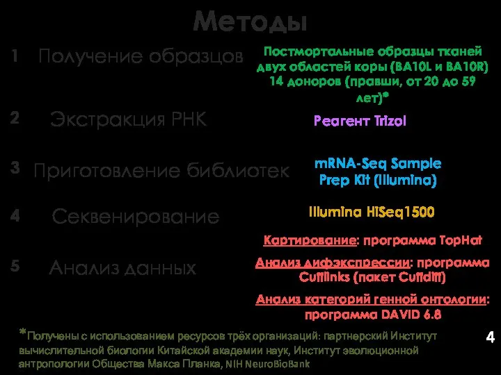 Получение образцов Экстракция РНК Приготовление библиотек Секвенирование Анализ данных Методы 1 2