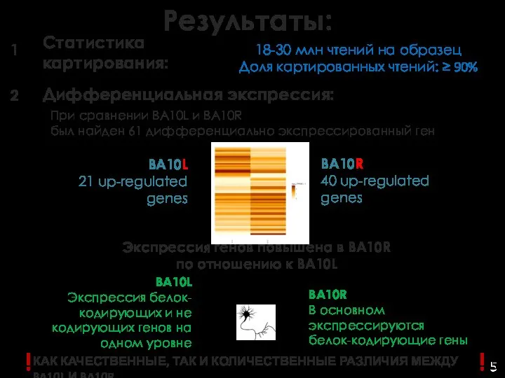 Результаты: 5 Статистика картирования: Дифференциальная экспрессия: 1 2 18-30 млн чтений на