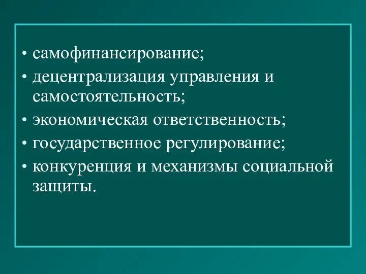 самофинансирование; децентрализация управления и самостоятельность; экономическая ответственность; государственное регулирование; конкуренция и механизмы социальной защиты.