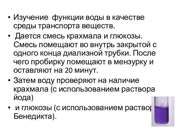 Изучение функции воды в качестве среды транспорта веществ. Дается смесь крахмала и