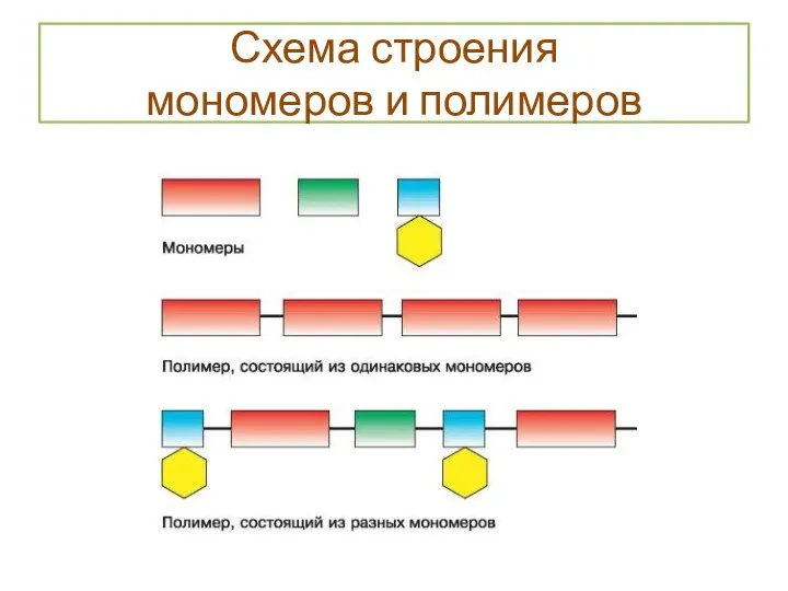 Схема строения мономеров и полимеров