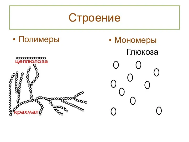 Строение Полимеры Мономеры Глюкоза