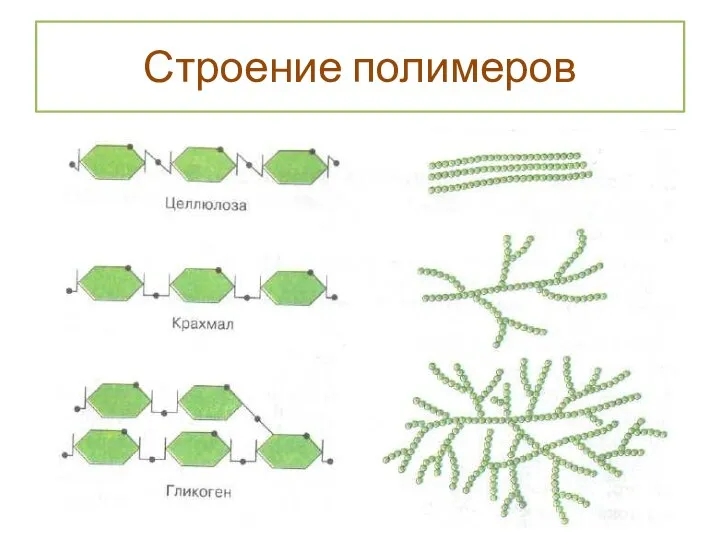 Строение полимеров