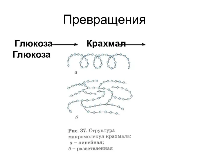 Превращения Глюкоза Крахмал Глюкоза