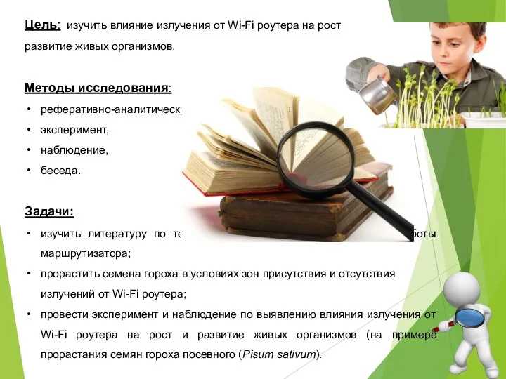 Цель: изучить влияние излучения от Wi-Fi роутера на рост и развитие живых