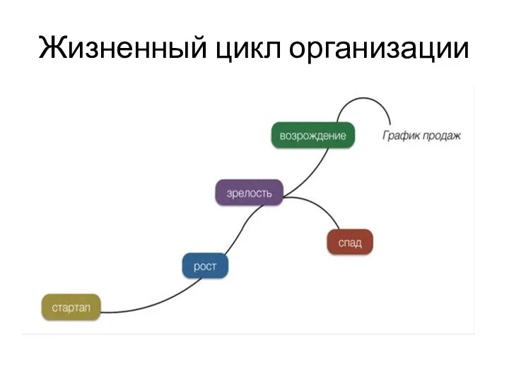 Жизненный цикл организации