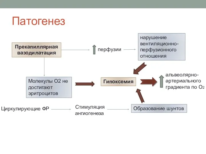 Патогенез