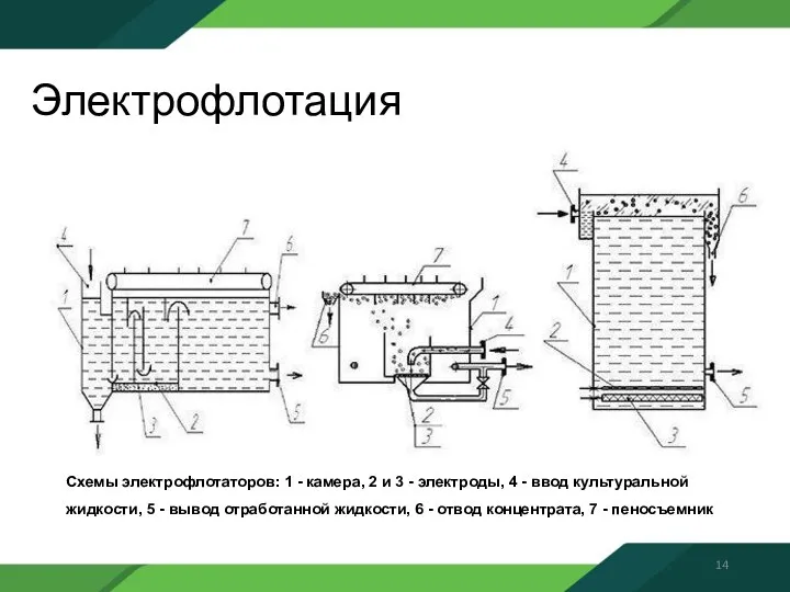 Электрофлотация Схемы электрофлотаторов: 1 - камера, 2 и 3 - электроды, 4