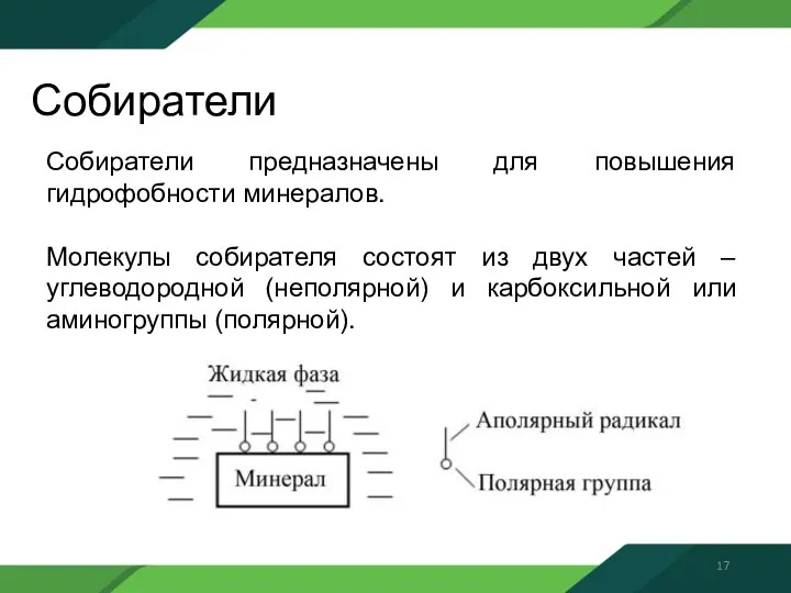 Собиратели Собиратели предназначены для повышения гидрофобности минералов. Молекулы собирателя состоят из двух