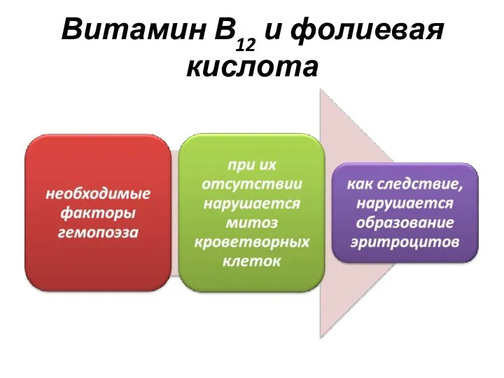 Витамин В12 и фолиевая кислота