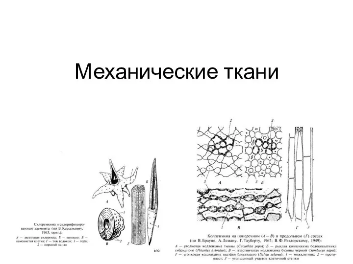 Механические ткани