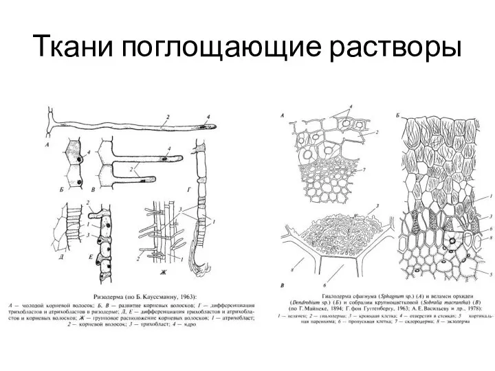 Ткани поглощающие растворы