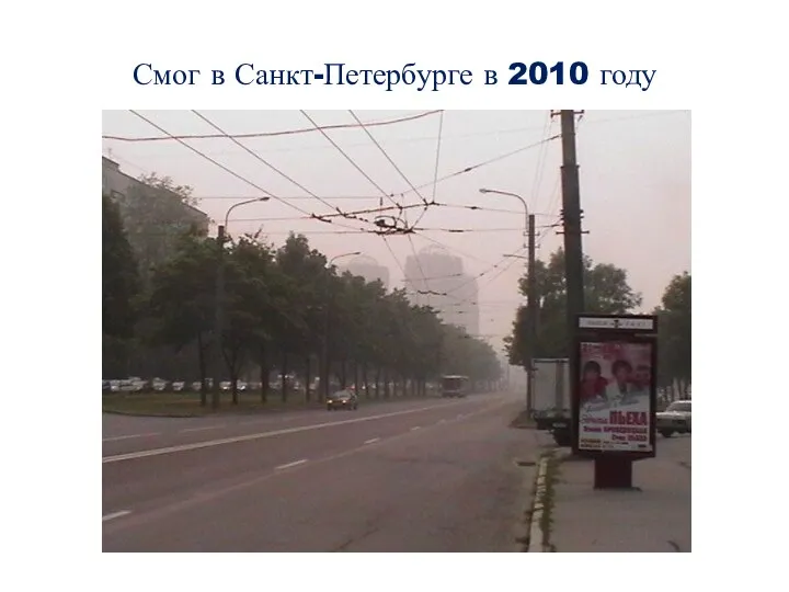 Смог в Санкт-Петербурге в 2010 году