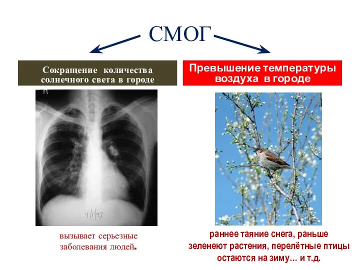 СМОГ Сокращение количества солнечного света в городе Превышение температуры воздуха в городе