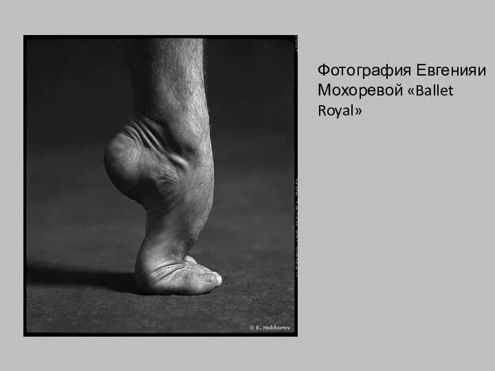 Фотография Евгенияи Мохоревой «Ballet Royal»