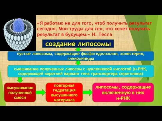 «Я работаю не для того, чтоб получить результат сегодня. Мои труды для