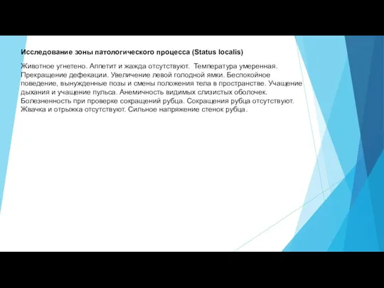 Исследование зоны патологического процесса (Status localis) Животное угнетено. Аппетит и жажда отсутствуют.