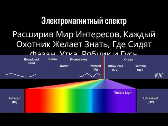 Электромагнитный спектр Расширив Мир Интересов, Каждый Охотник Желает Знать, Где Сидят Фазан, Утка, Рябчик и Гусь