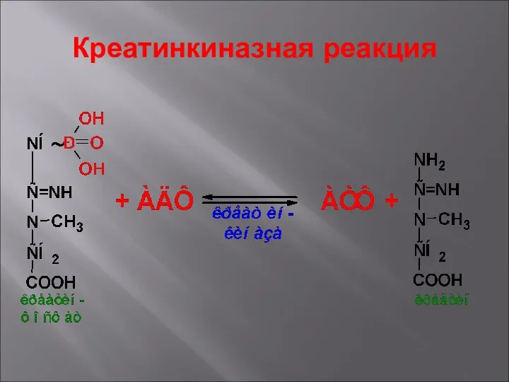 Креатинкиназная реакция