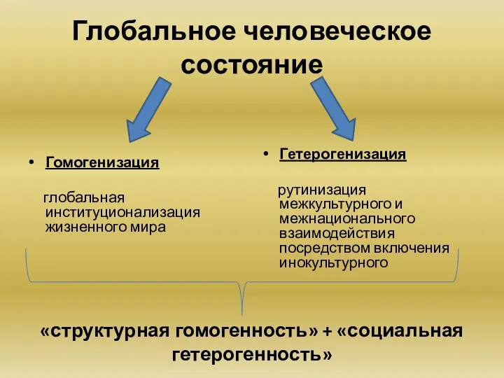 Глобальное человеческое состояние Гомогенизация глобальная институционализация жизненного мира Гетерогенизация рутинизация межкультурного и