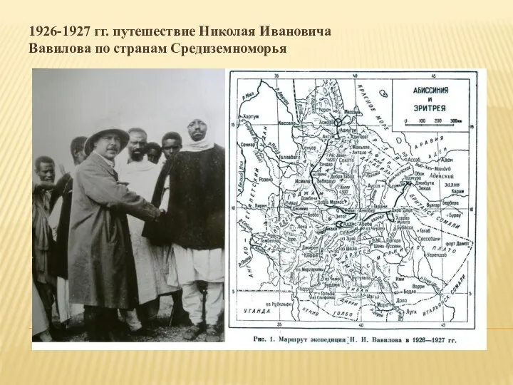 1926-1927 гг. путешествие Николая Ивановича Вавилова по странам Средиземноморья